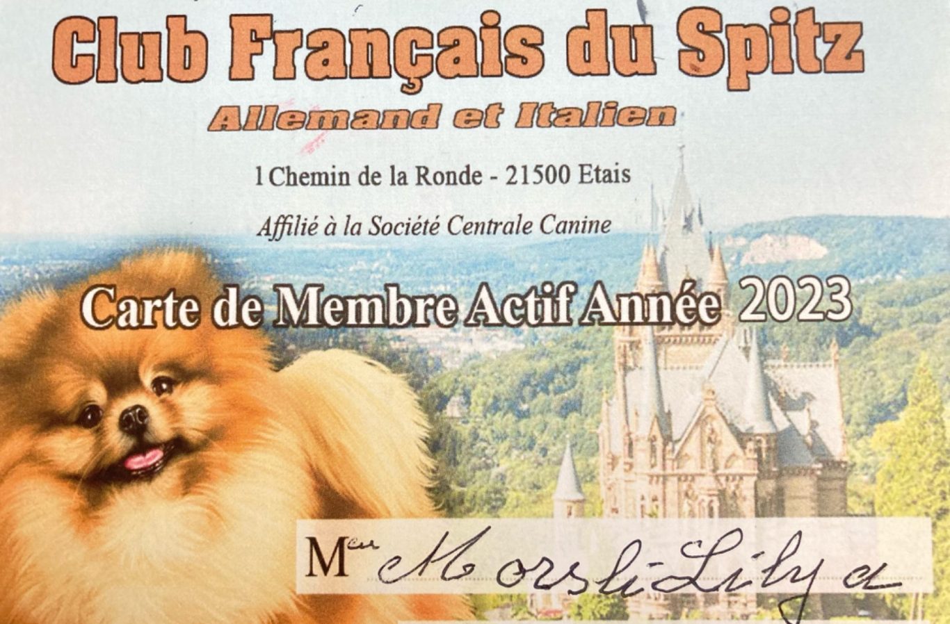 Carte de membre du club français du Spitz allemand et italien 